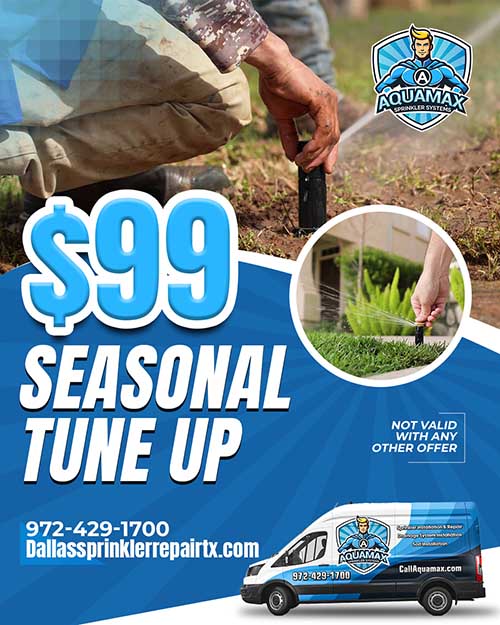Seasonal tune-up special